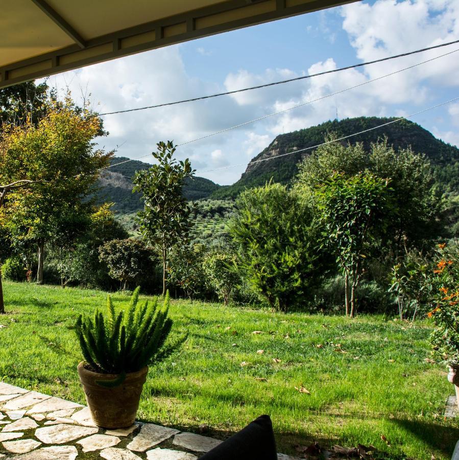 Estia Guest House Ancient Olympia Екстер'єр фото